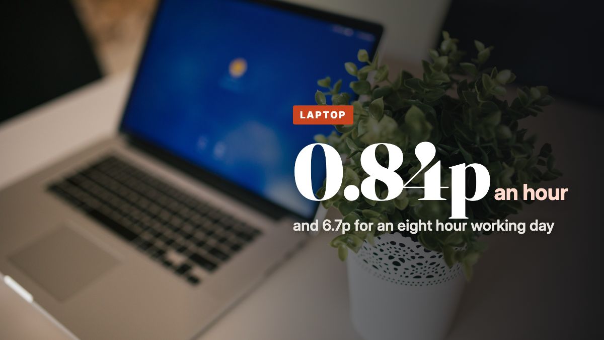 An open laptop on a desk beside a small potted plant